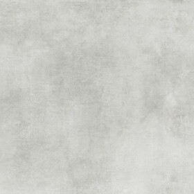 Eco Fantastic Light Grey 59,8/59,8