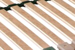 AHORN CZ, s.r.o. Rošt Portoflex Motor Mega bezšňůrový ROZMĚR: 90 x 200 cm