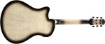 Ibanez AAM370M1CE Transparent Panda