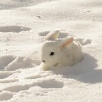 Plyšový králík bílý 16 cm ECO-FRIENDLY