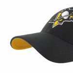 Pittsburgh Penguins NHL