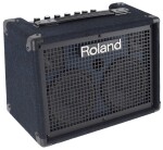 Roland KC-220 Keyboard Amplifier