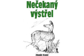 Nečekaný výstřel Zdeněk Hlaváč