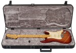 Fender American Professional II Stratocaster