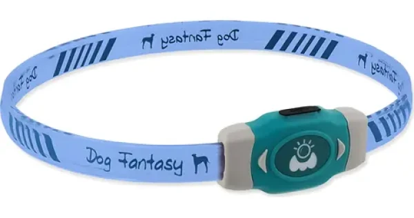 DOG FANTASY Obojek LED svítící vícebarevný M / 50 cm / USB nabíjecí / Pro malé a střední psy (454-858115)