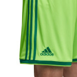 Pánské kraťasy Regista 18 Short CF9598 Adidas