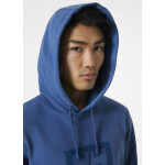 Pánská mikina Box Hoodie M 53289 636 - Helly Hansen S