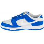 Boty Nike Dunk Low M FN3416-001 44