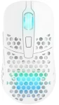 XTRFY M42 Wireless bílá / herní bezdrátová myš / optická / 19000 DPI / 6 tlačítek / RGB / 2 velikosti / 2.4GHz (M42W-RGB-WHITE)