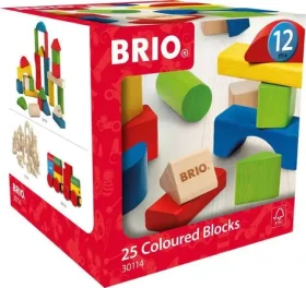 BRIO Barevné kostky 25 dílků