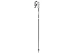 Leki Bliss sjezdové hole Gunmetal/Dark Anthracite/White 120 cm
