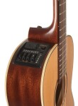Takamine P3NY