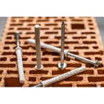 Hmoždinka rámová s vrutem šestihran, TORX 8 x 80 mm, STALCO PERFECT, bal. 50 ks