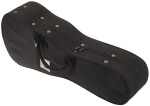 Tanglewood Soprano Ukulele Deluxe Case