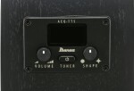 Ibanez AEG621-BOT