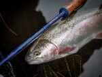 Wychwood Muškařský prut Ionica Fly 9ft 6inch #6 4-díl,Wychwood Muškařský prut Ionica Fly 9ft 6inch #6 4-díl