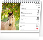 Stolní kalendář 2026 NOTIQUE - Poezie koní, 16,5 x 13 cm