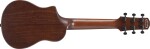 Ibanez AUP10N Light Brown Sunburst