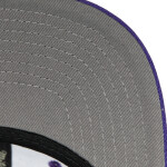 Mitchell & Ness Pánská kšiltovka Los Angeles Lakers NBA Team Ground 2.0 Snapback