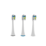 TrueLife SonicBrush UV Sensitive White Triple Pack