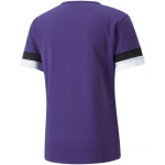 Puma teamRise Jersey 704932 10 pánské