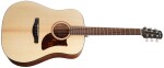 Ibanez AAD100 Natural