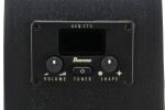 Ibanez AEG1221-BOT