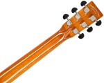 Tanglewood TRX8E
