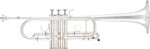 Arnolds & Sons ATR-6600GS Terra