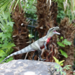 Safari Ltd. Safari Ltd. Figurka - Megalosaurus