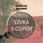 Dívka s copem - Jaroslav Velinský