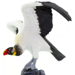 Safari Ltd. Safari Ltd. Figurka - Kondor královský