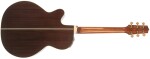 Takamine P5NC