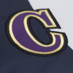 Mitchell & Ness Pánský dres Wayne Gretzky Los Angeles Kings 1995 NHL Alternate Jersey Velikost: L