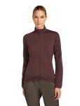ICEBREAKER Wmns 400 RealFleece Descender LS Zip, Java (vzorek) velikost: S
