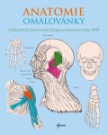 Anatomie omalovánky