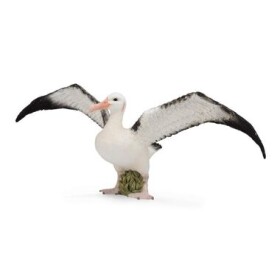 Collecta Albatros stěhovavý