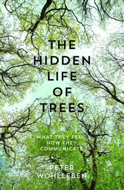 The Hidden Life of Trees : The International Bestseller - What They Feel, How They Communicate - Peter Wohlleben