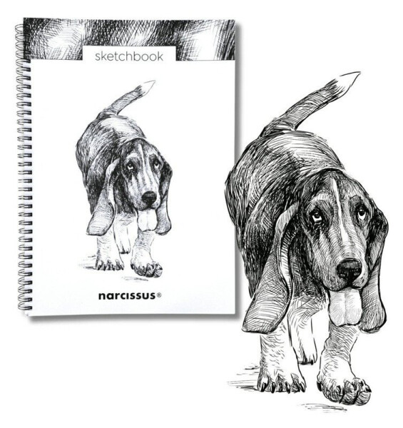 Skicovací spirálový notes A4 - Pes baset