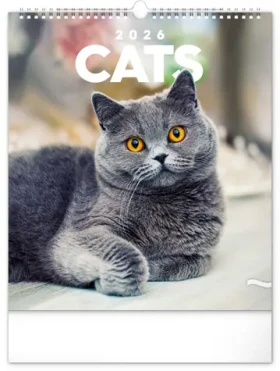 NOTIQUE Nástěnný kalendář Kočky 2026 / 30 x 34 cm (PGN-35225-L)