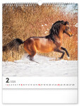 Nástěnný kalendář Koně 2025, 30 34 cm