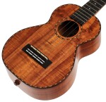 Kamaka HF-2 D FIVE.O Concert Deluxe Ukulele