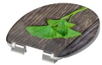 Schütte GINGKO und WOOD | Duroplast, Soft Close 4008431821542