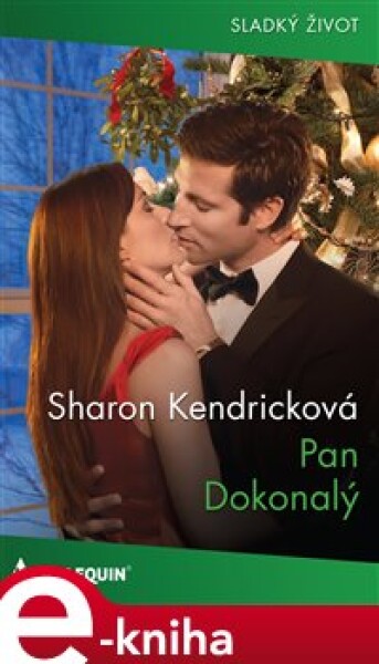 Pan Dokonalý - Sharon Kendricková e-kniha