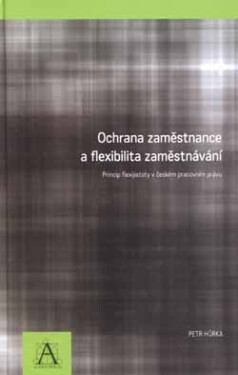 Auditorium Ochrana zaměstnance a flexibilita zaměstnávání - Petr Hůrka