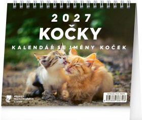NOTIQUE Stolní kalendář Kočky – se jmény koček 2027, 16,5 x 13 cm