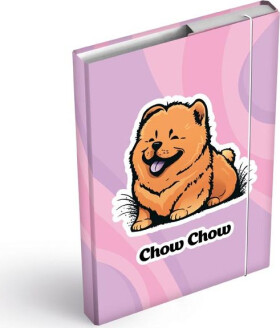 Desky na sešity box A4 Chow Chow