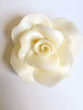 Dortisimo Cukrová růže velká bílá perleťová (9 ks)