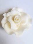 Dortisimo Cukrová růže velká bílá (9 ks)