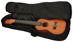 Cascha HH 2035E Concert Mahogany Ukulele Set EQ